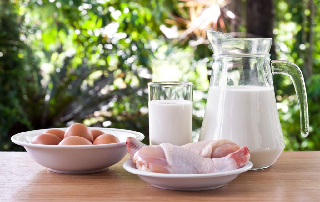 Foods for Weight Loss